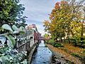 020211017 204044 Biała River in Bielsko Biała