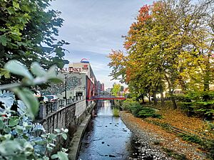 020211017 204044 Biała River in Bielsko Biała