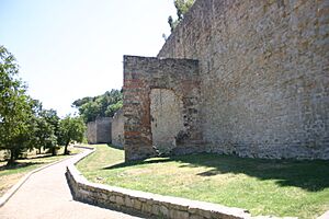 20090725 Arezzo city wall