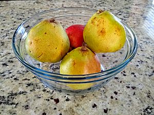 A bowl of Comice pears.jpg