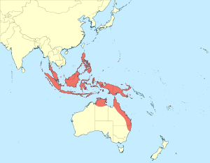 Agrionoptera insignis distribution map.svg