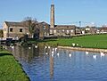 Airedale Mills, Micklethwaite, Bingley (6th November 2010)