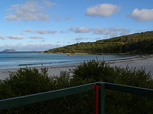 Albany-Middleton-beach