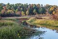 Bayou Bartholomew near Pine Bluff, AR