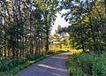 Bike Trail in Inver Grove Heights, Dakota County, Minnesota (29162556957)