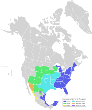 Box turtle distribution map