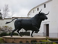 BullRing-Ronda, Andalusia, Spain