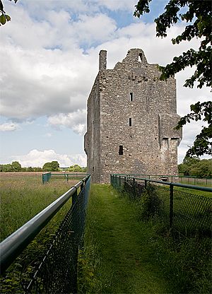 Castles of Munster, Ballymalis, Kerry - geograph.org.uk - 1392738.jpg