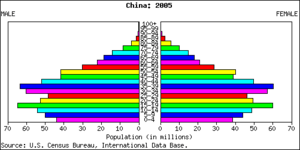 China population pyramid 2005