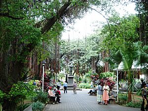 Company Gardens in Port Louis