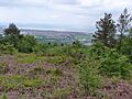 Craig Ty-isaf enclosure, nr Baglan, May 2014 (1)
