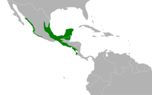 Crypturellus cinnamomeus map.svg