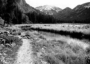 East Inlet Trail