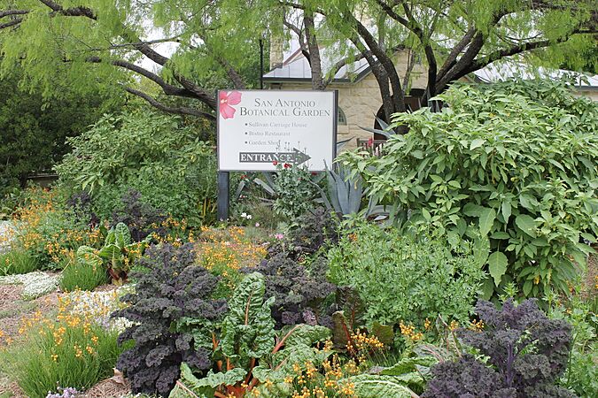 Entrance to San Antonio Botanical Garden, TX IMG 5308