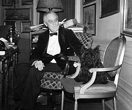 President Roosevelt seated at a desk holding Fala