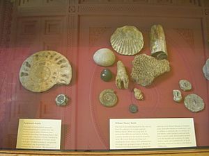 Fossils that helped develop the first geological map