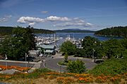 Friday Harbor 1