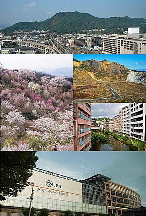 Fukushima City Montage