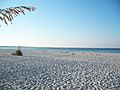 Gasparilla Island SP beach05