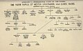 Genealogical Table of the Paters