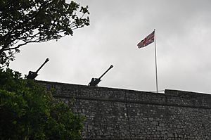 Guns on the Citadel, Plymouth (5027)