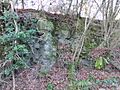 Hastingford Cutting (2)