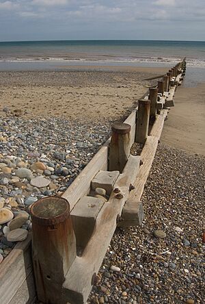 Hornsea groyne - geograph.org.uk - 1483884