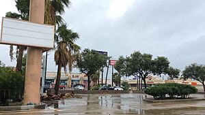 Hurricane Hanna - Corpus Christi, Texas