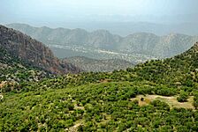 Iran - Fars - Nature of Kazerun Road - panoramio