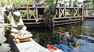 Japanese Koi Pond