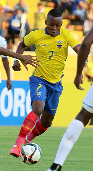 Juan Cazares - Ecuador v Honduras 2015.jpg