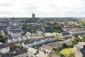 Kilkenny View from Round Tower to St Mary Cathedral 2007 08 28