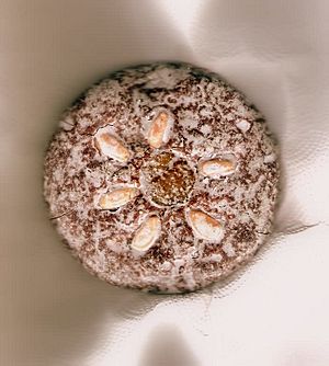 Lebkuchenscan