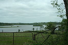 Lough Gowna (230569952).jpg