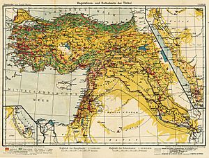 Map of the Ottoman empire in 1916 - Banse Ewald - 1919