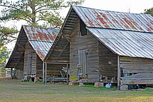 McLemore-Sharpe Farmstead, Toombs County, GA, US