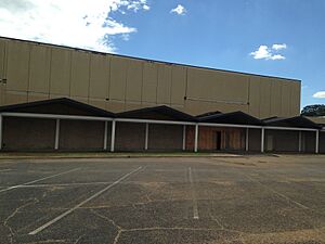 McRae's Department Store at Meadowbrook Mart2