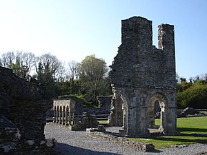 Mellifont Abbey lavabo County Louth Ireland