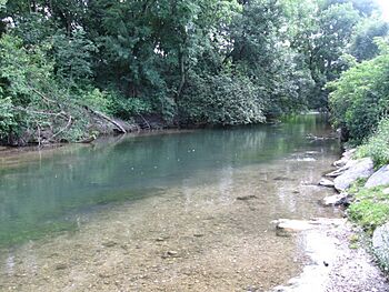 Mitterndorf an der fischa juni2007 nr13.jpg