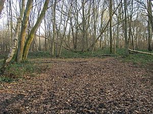 Moorend Common - geograph.org.uk - 1113623.jpg