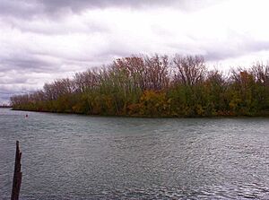 Mud Island in DRIWR