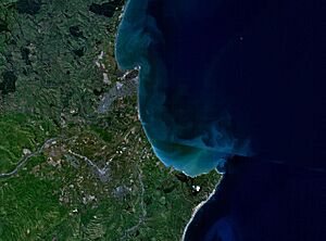Napier06