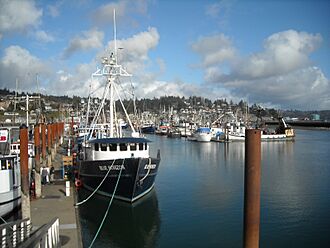 Newport harbor (OR)