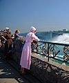 Niagara Falls - panoramio (69)
