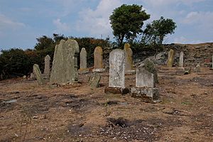 Old graveyard, Copeland Island - geograph.org.uk - 209117
