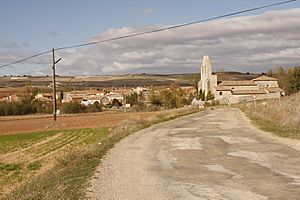 View of Olmillos de Muñó, 2009