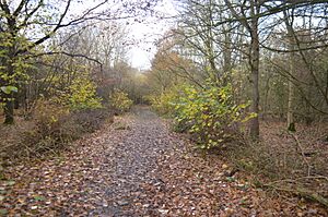 Papworth Wood 8