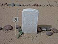 Phoenix-Pioneer Military and Memorial Park-1850-Clarence Proctor