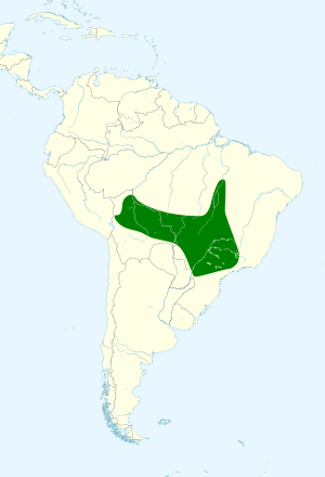 Picumnus albosquamatus map.svg