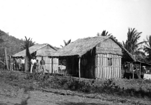 Queensland State Archives 1385 Huts built from palm leaves and roofed with grass Palm Island c 1935